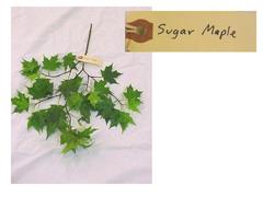 Sugar Maple Branch, Artificial