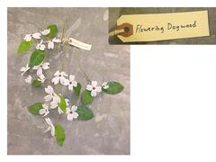 Flowering Dogwood Branch, Artificial