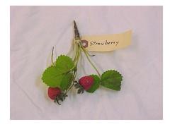 Strawberry Branch, Artificial