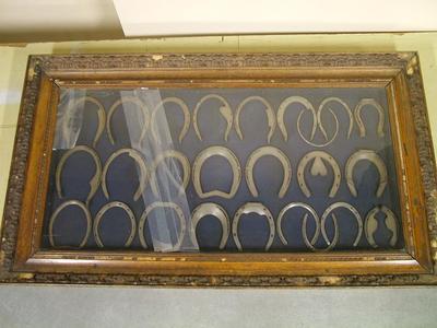 Horseshoe Exhibit Display Case