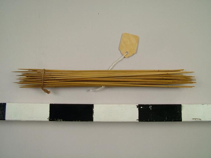 Blowgun And Bundle Of Arrows
