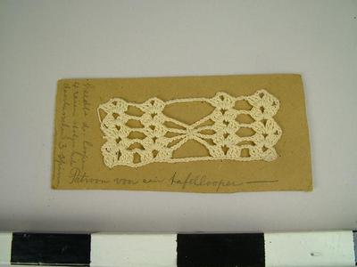 Sample