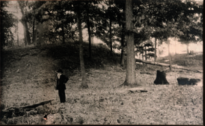 Photograph, Dr. E. S. Holmes In Front Of Norton Indian Mounds