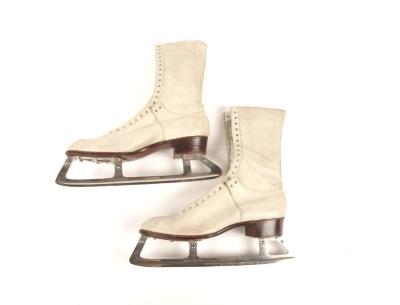 Skates, Ice