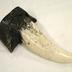 Tyrannosaurus Rex Tooth Replica